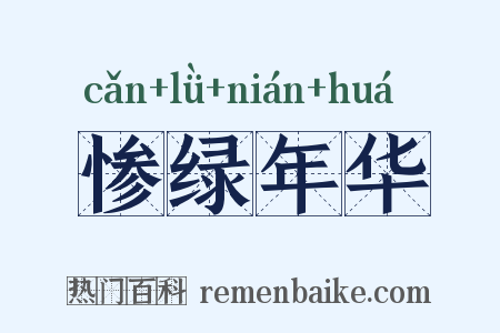 惨绿年华是什么意思的图片